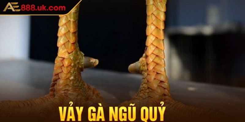 Những đặc điểm nổi bật về vảy gà ngũ quỷ AE888