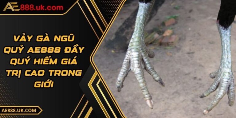 Vảy Gà Ngũ Quỷ AE888 Đầy Quý Hiếm Giá Trị Cao Trong Giới